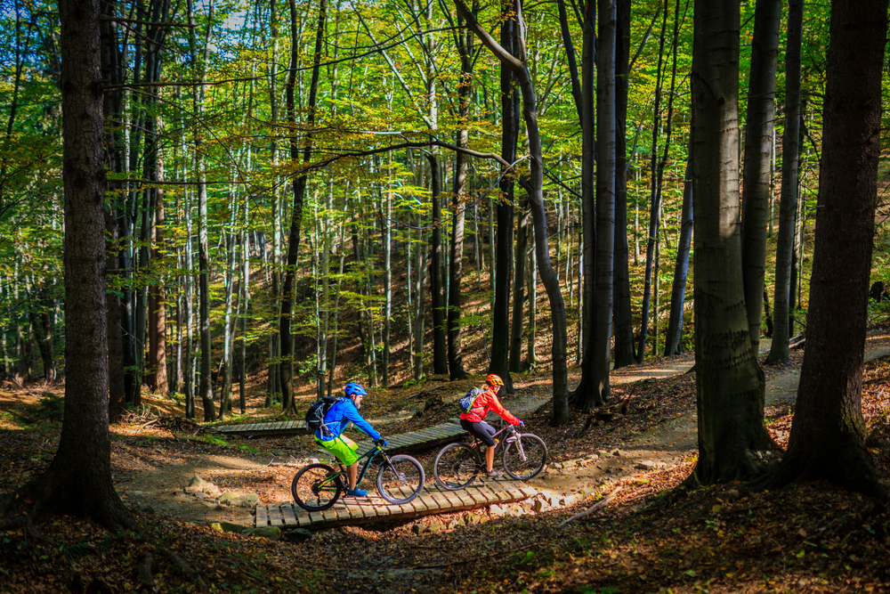 Mountainbiken in de bossen van Soest