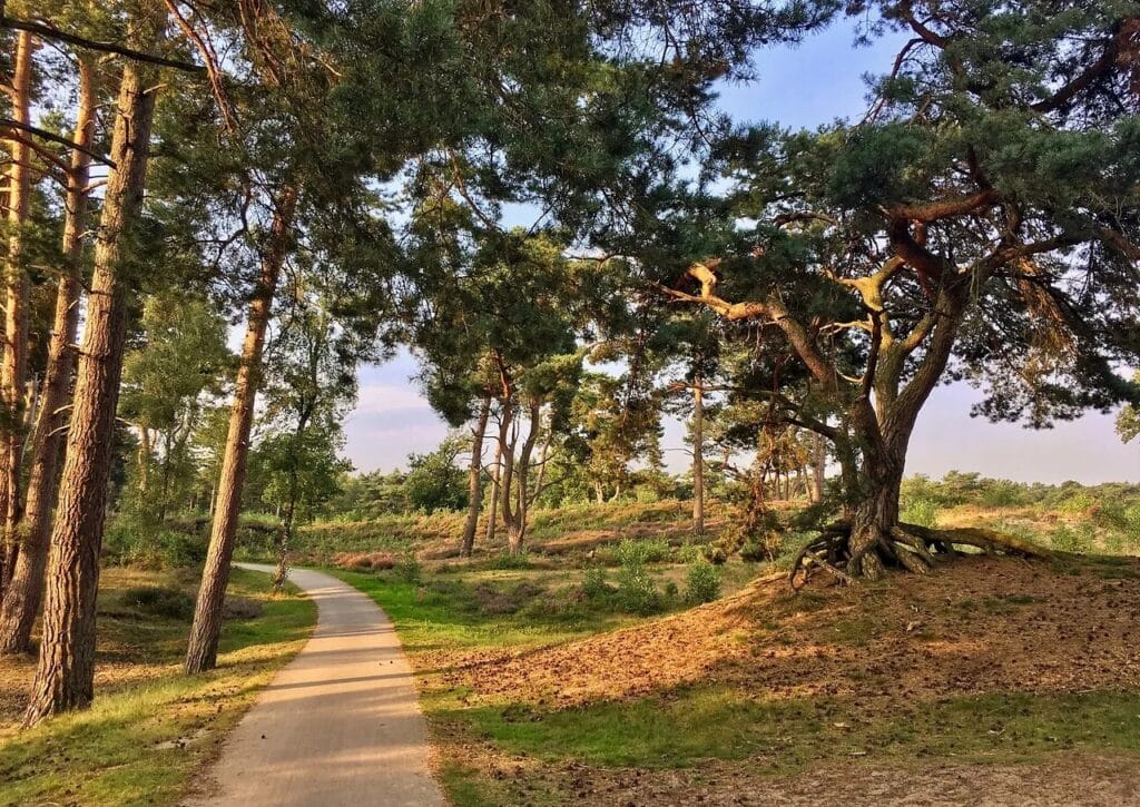 FietsRoutes in Soest