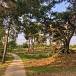 FietsRoutes in Soest