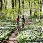 Samen op pad op de mountainbike op de Hoge Vuursche